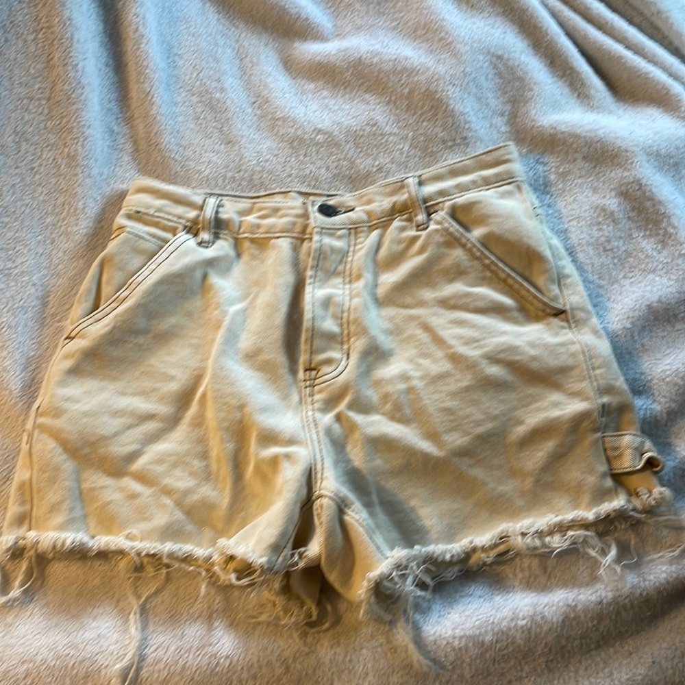 Pacsun size 26 shorts